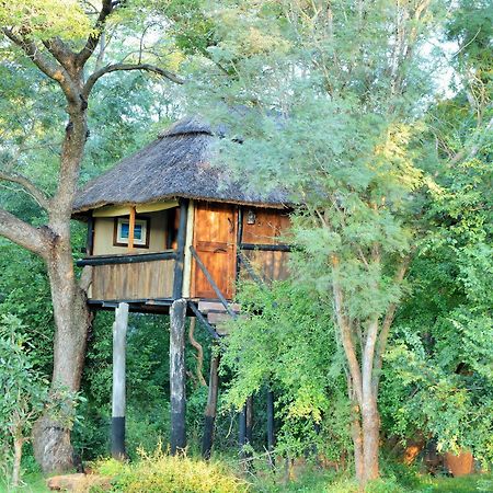 Ivory Lodge Dete Bagian luar foto