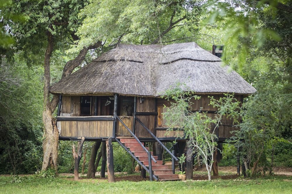 Ivory Lodge Dete Bagian luar foto