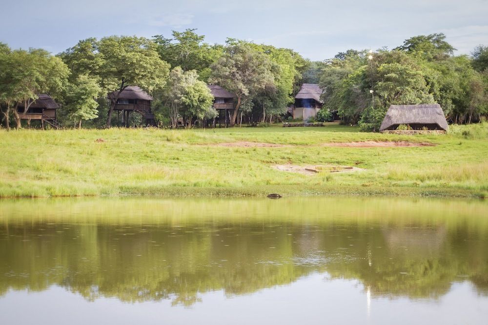 Ivory Lodge Dete Bagian luar foto