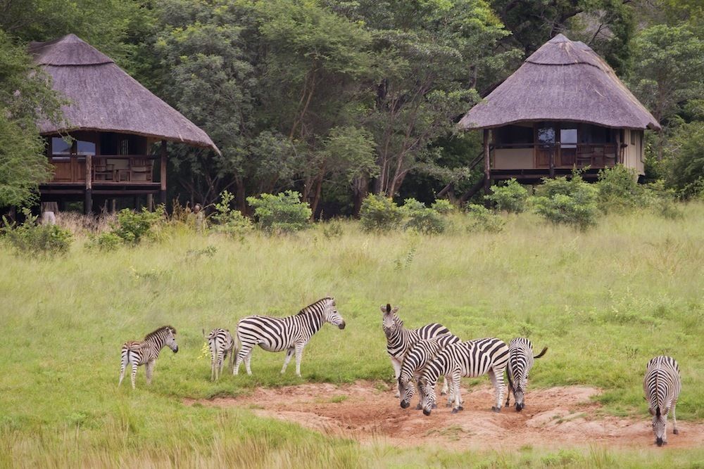 Ivory Lodge Dete Bagian luar foto