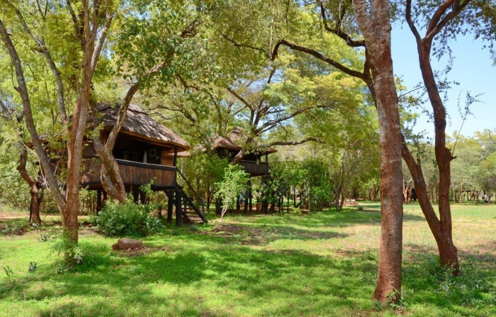Ivory Lodge Dete Bagian luar foto