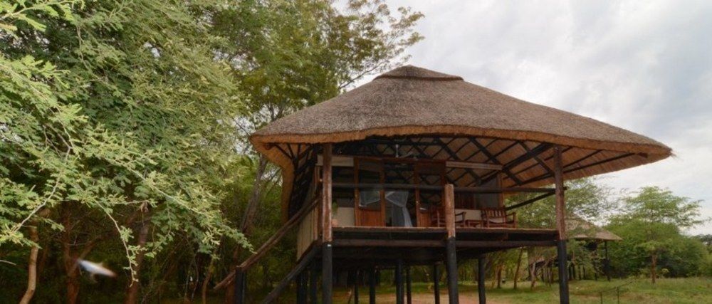 Ivory Lodge Dete Bagian luar foto