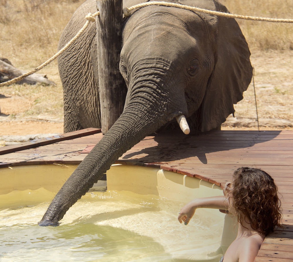 Ivory Lodge Dete Bagian luar foto