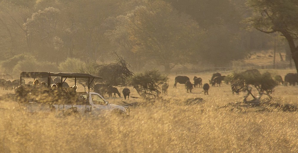 Ivory Lodge Dete Bagian luar foto