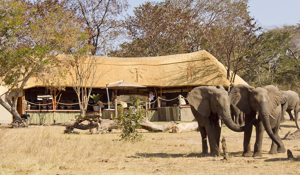 Ivory Lodge Dete Bagian luar foto